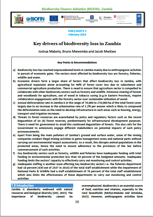 policy brief 3 Zambia 