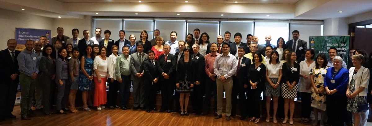 Latin America and the Caribbean Regional Workshop